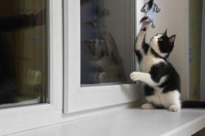 Woning winterklaar maken: 3 tips