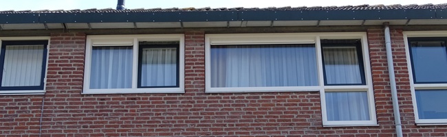 Van Schendelhove