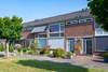 Dubbeldam complex 549