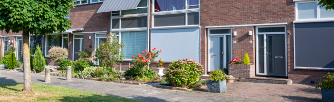 Dubbeldam complex 549