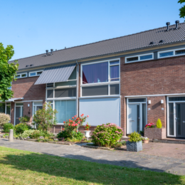 Dubbeldam complex 549