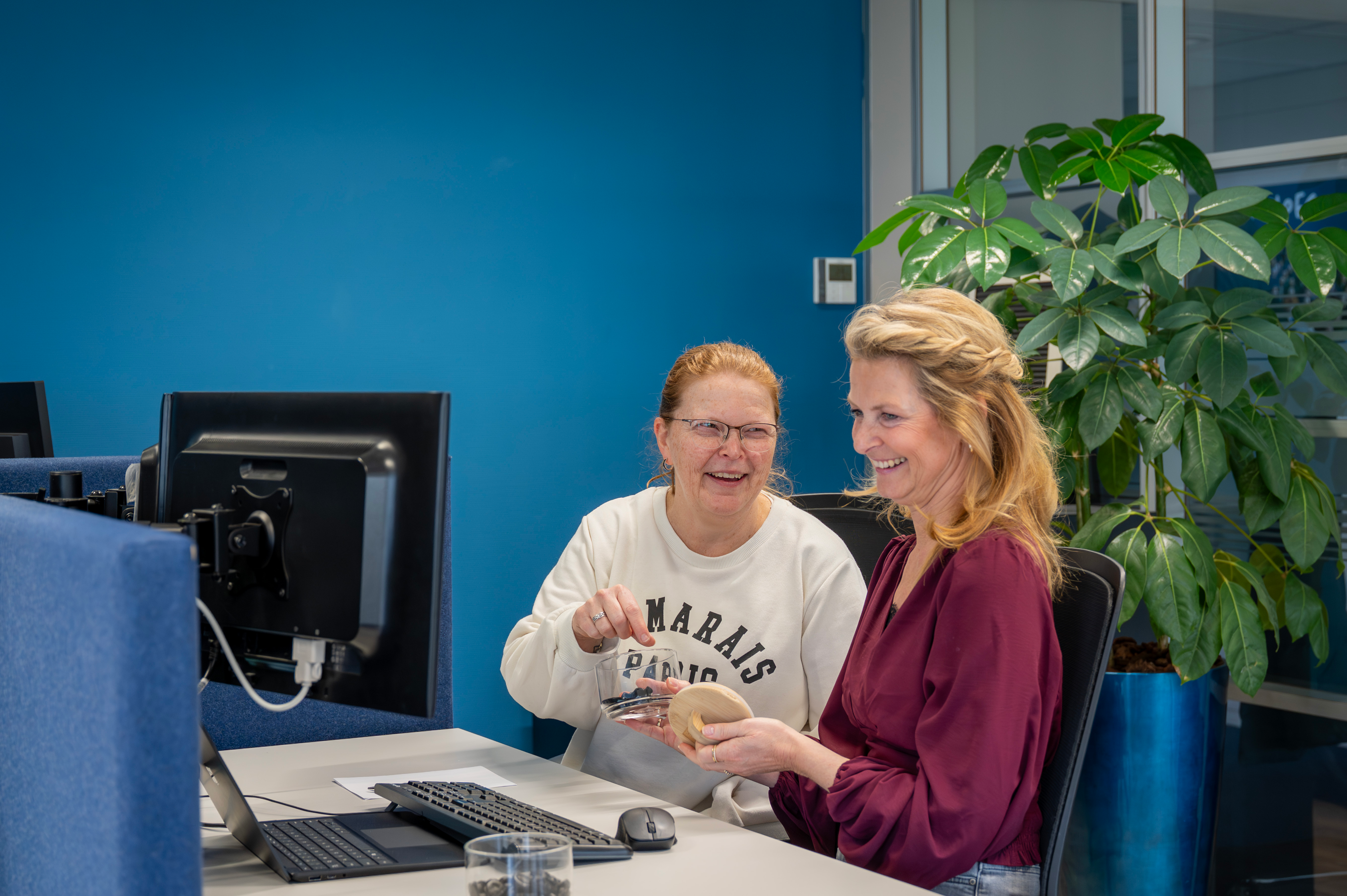 Werken Bij Ploeg Financiele Administratie