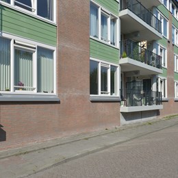 Petuniatuin