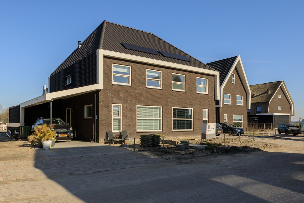 Zilverplevier De Draai Heerhugowaard (1)