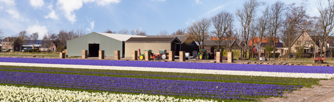 Kunststof kozijnen in Hillegom