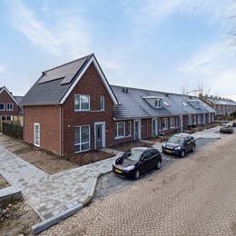 Ganshoeksingel