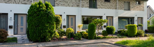 Dubbeldam complex 547