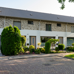 Dubbeldam complex 547