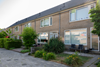 Dubbeldam complex 538
