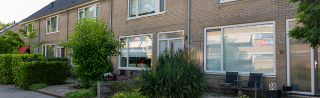 Dubbeldam complex 538