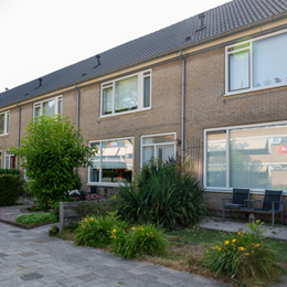 Dubbeldam complex 538