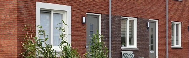 De Rietsgors