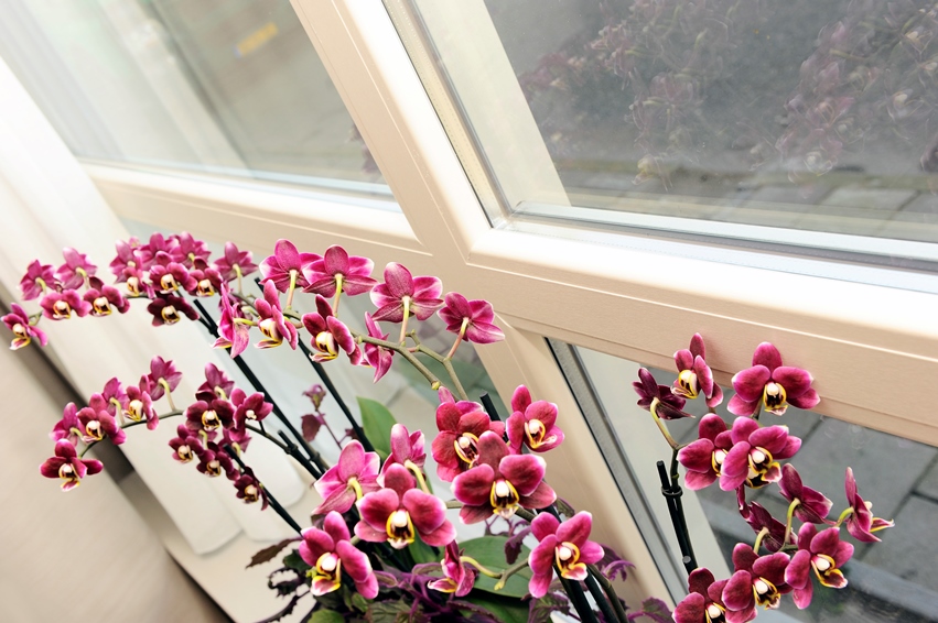 Roelofarendsveen Langeweg (8)