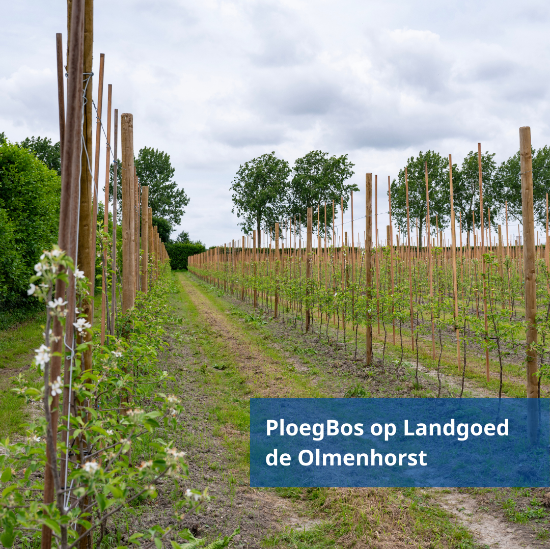 Ploegbos Website (1)