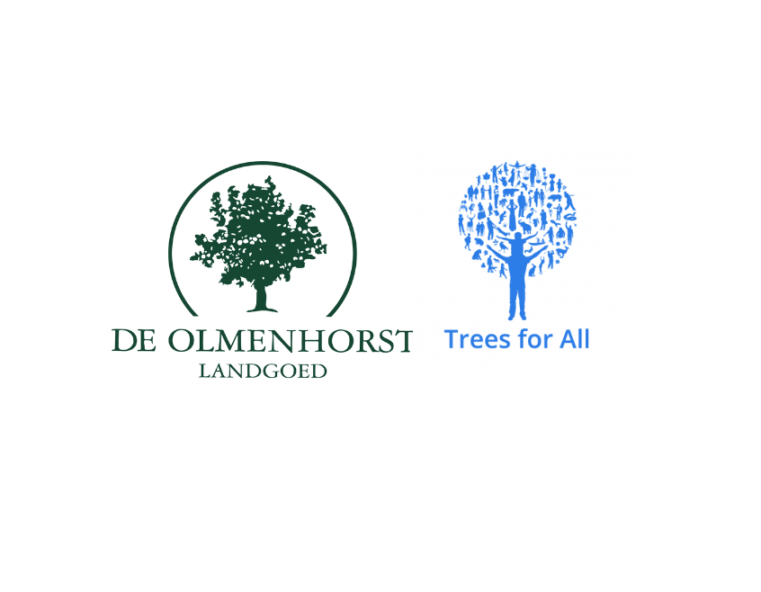 Duurzaam Bouwen Afbeelding Website
