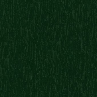 RAL 6009 H