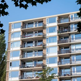 Livingstonelaan