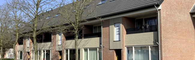 Etten-Leur, Grauwe Polder