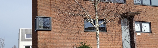 Pracanalaan