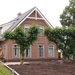 Bodens Hosangweg