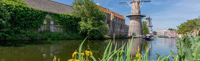 Kunststof kozijnen in Lisse