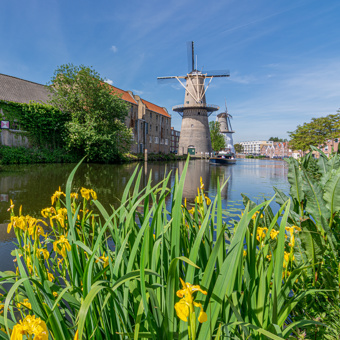 Ploeg kozijnen in Lisse