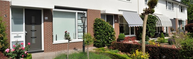 Van Wassenaerstraat