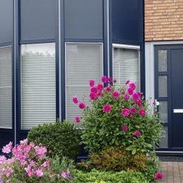 Pikoletstraat