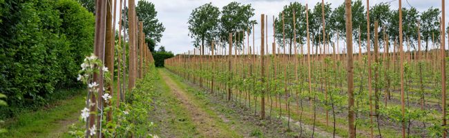 Onze bijdrage aan duurzaamheid