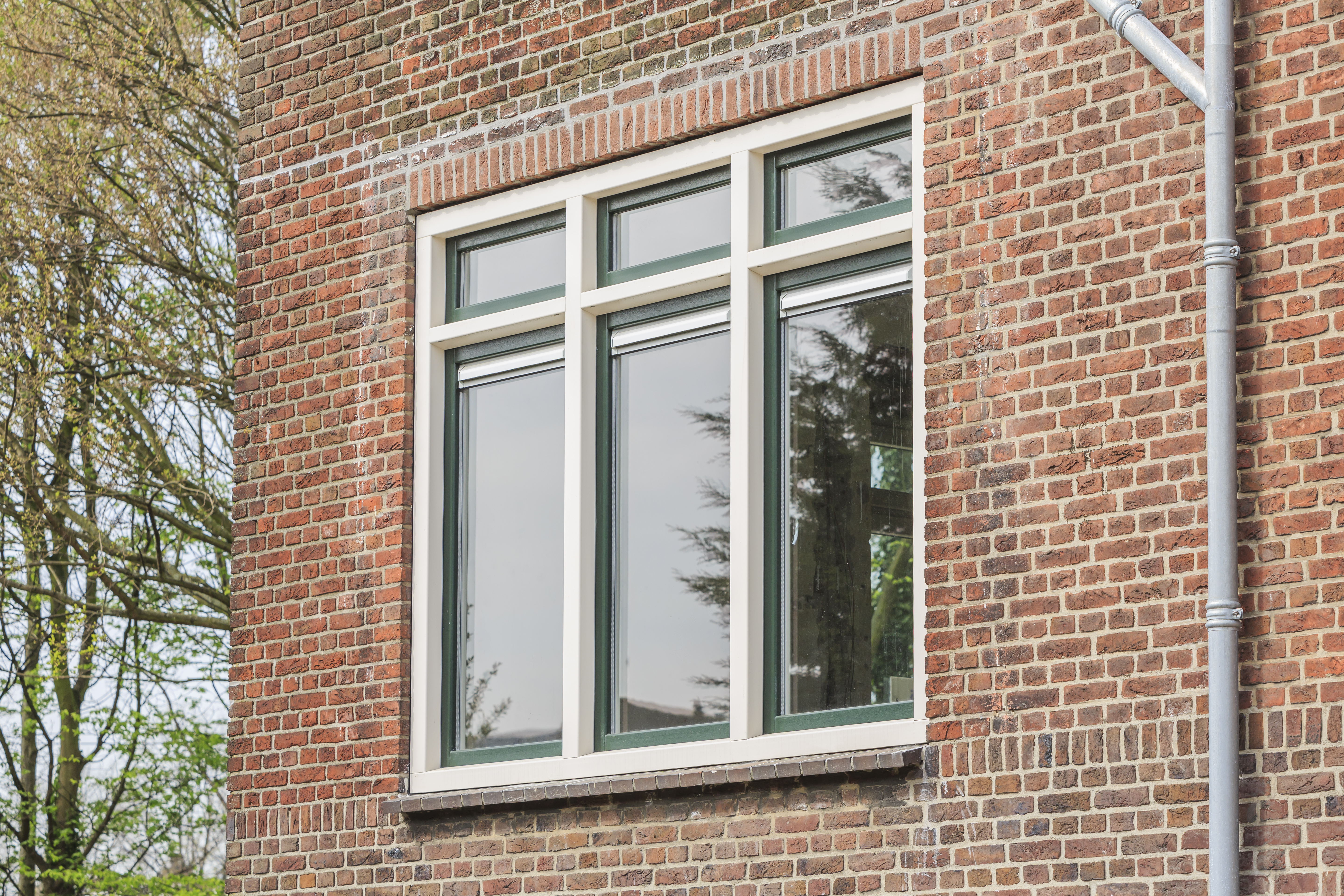 Kunststof Dennegroen Vast Raam Met Drie Vakken