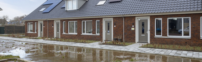 Lage Zwaluwe, Ganshoeksingel