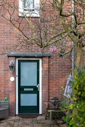 Kunststof voordeur met brievenbus